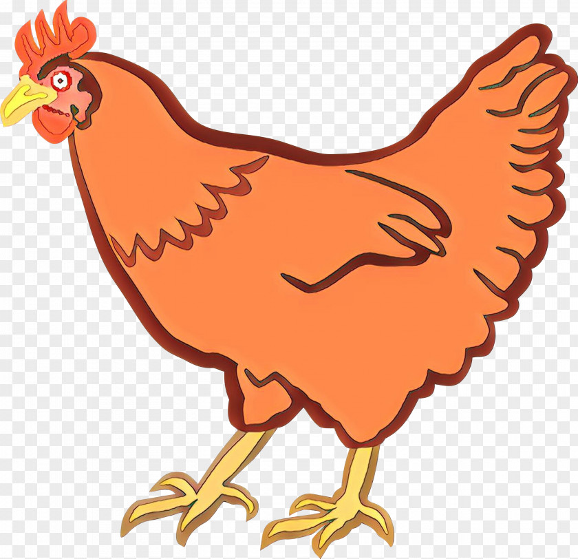 Rooster Clip Art Chicken Illustration PNG