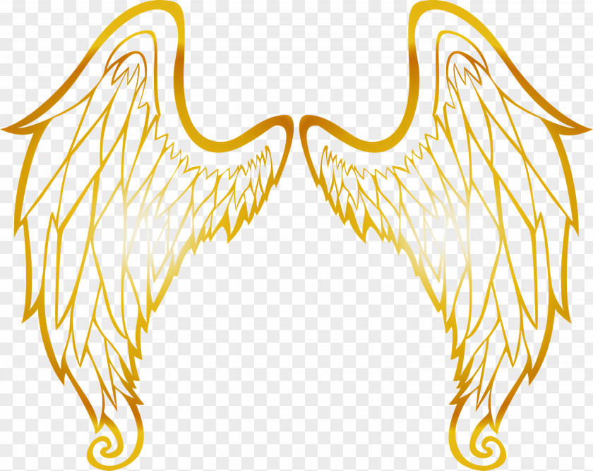Wings Bird Angle PNG