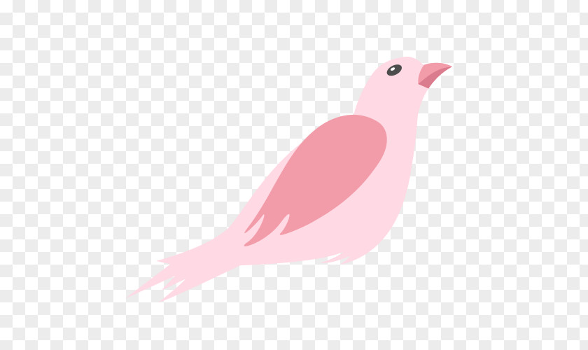 Bird Cartoon Wing Illustration PNG