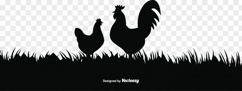Rooster Silhouette Vector Illustration Chicken Sunrise PNG