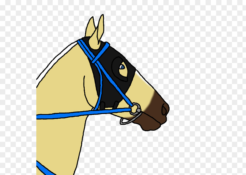 Spring Forward Horse Tack Halter Rein Bridle PNG