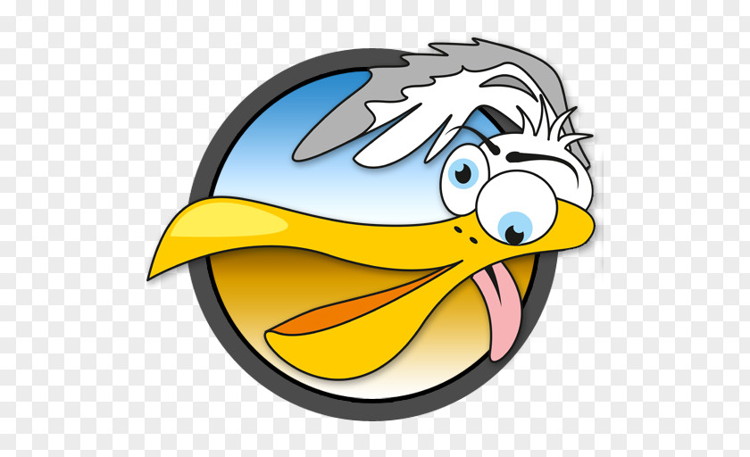 Bird Gulls Beak Role-playing Game PNG