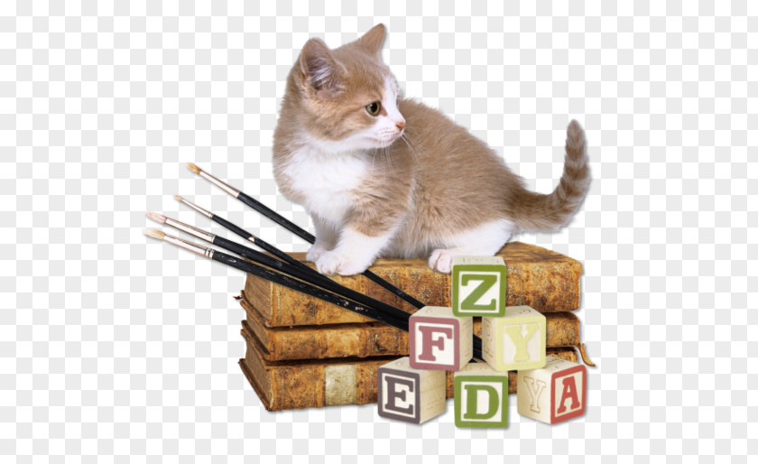 Cat Book Object .de Whiskers Centerblog PNG