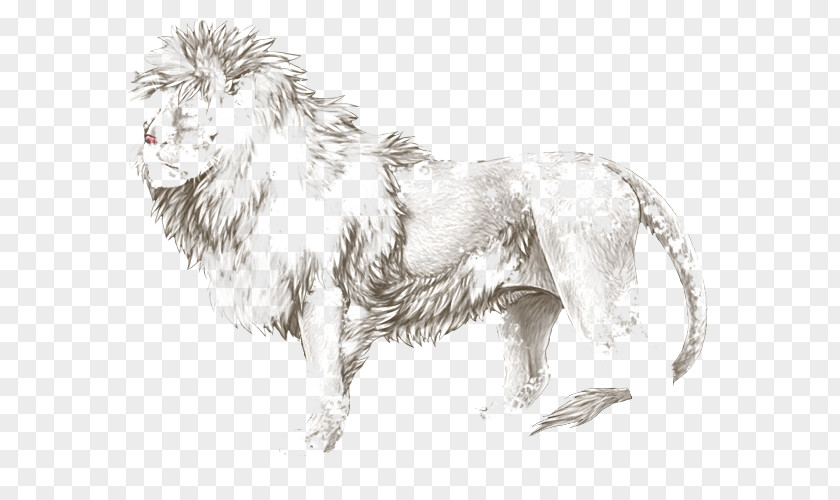 Dog Breed Cat Lion Paw PNG