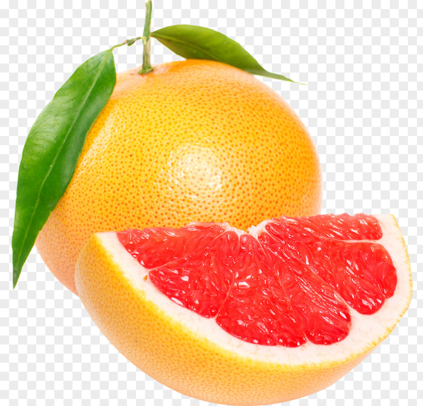 Grapefruit Blood Orange Pomelo Tangerine Tangelo PNG