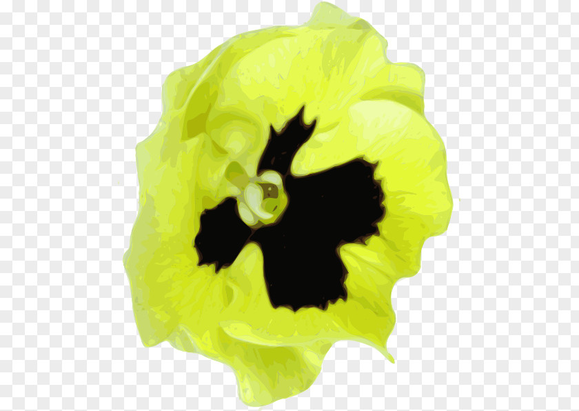 Hand Painted Flower Label Pansy Clip Art PNG