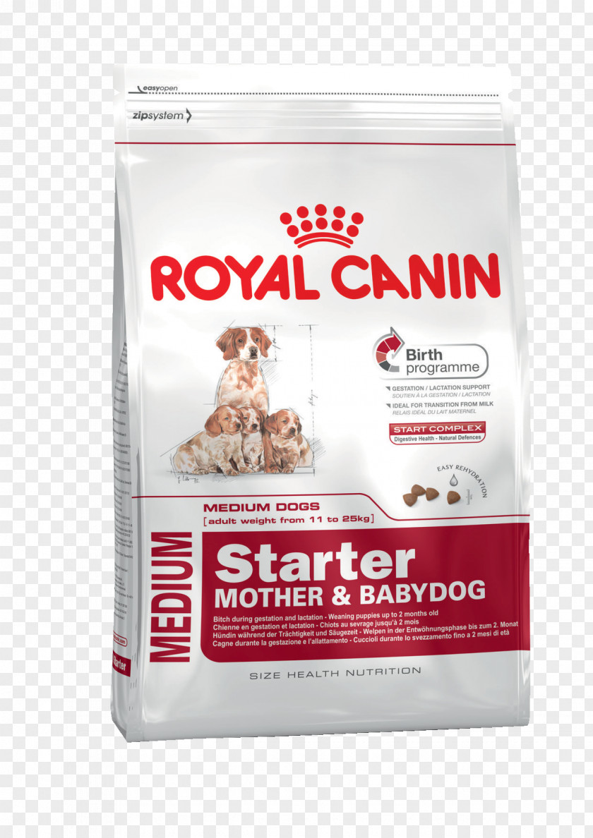 Puppy English Cocker Spaniel Pug Boxer Dog Food PNG