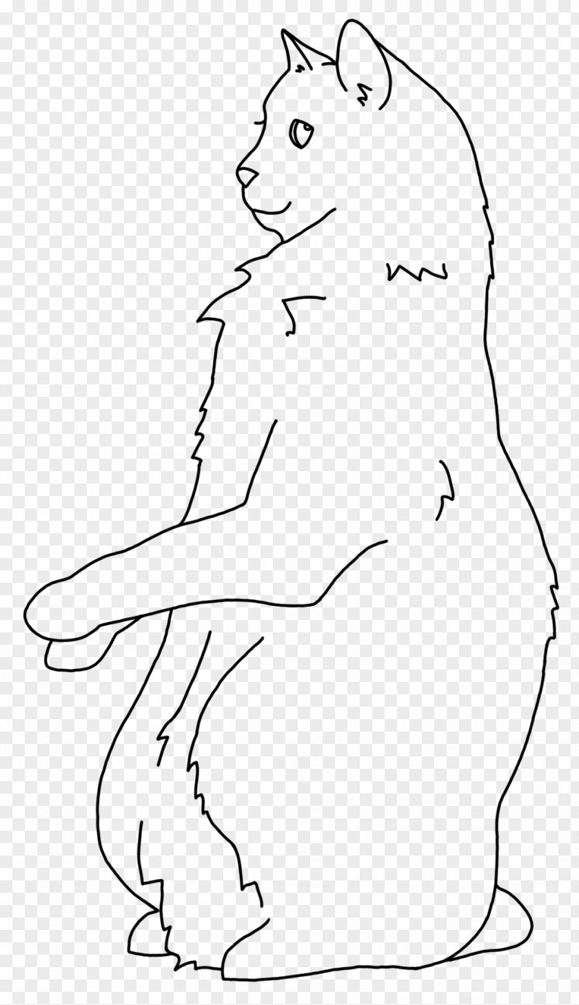 Standing Cat Whiskers Line Art Drawing /m/02csf PNG