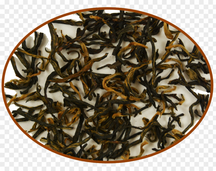 Tea Oolong Nilgiri Dianhong Assam PNG