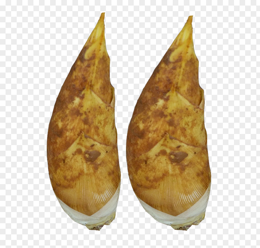 Two Bamboo Shoots Shoot Vegetable PNG