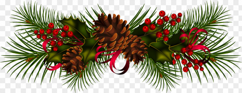 Christmas Conifer Cone Pine Clip Art PNG
