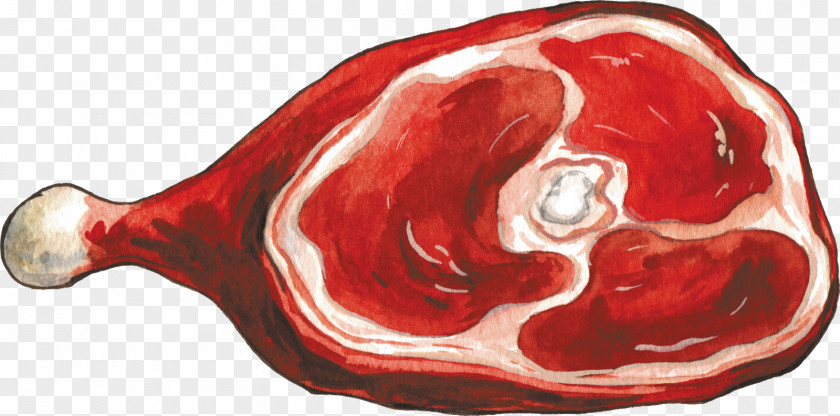 Meat Red Ham Beef PNG