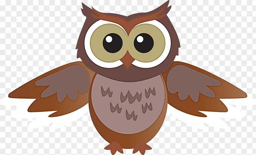 Owl Eastern Screech Bird Cartoon Of Prey PNG