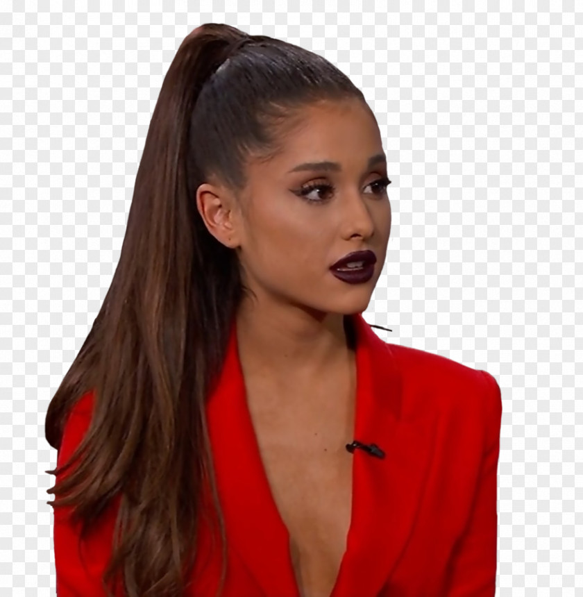 Ariana Grande Hair Coloring Hairstyle Ponytail Black PNG