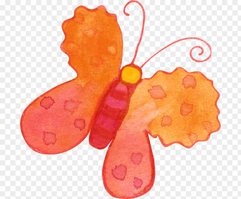 Butterfly Insect Watercolor Painting Creative PNG