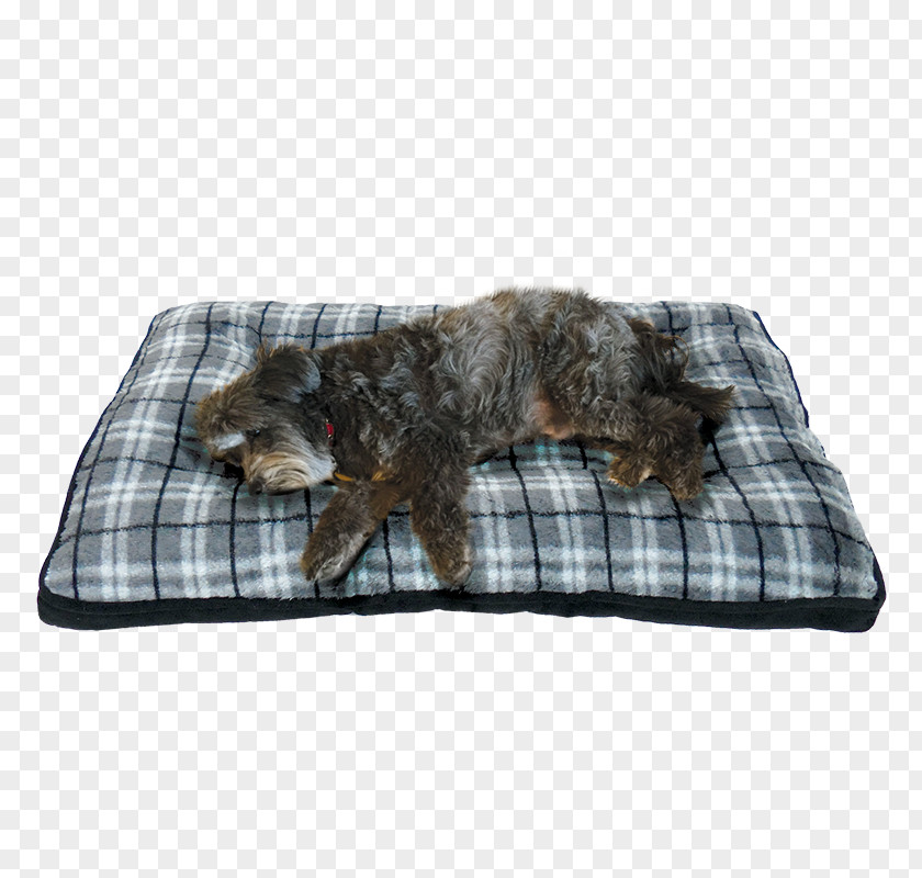 Dog Crate Cushion Mattress Bed PNG