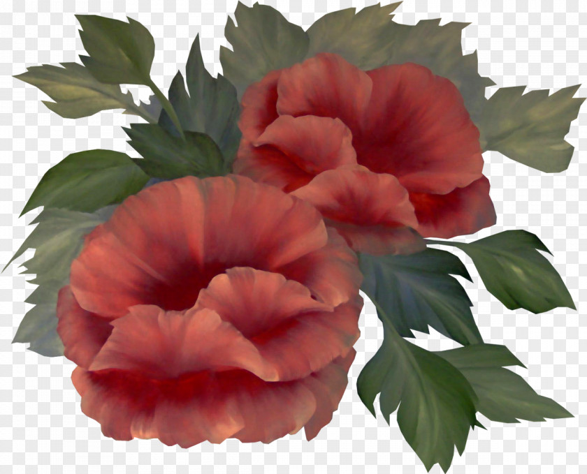 Peony Flower Plant Clip Art PNG