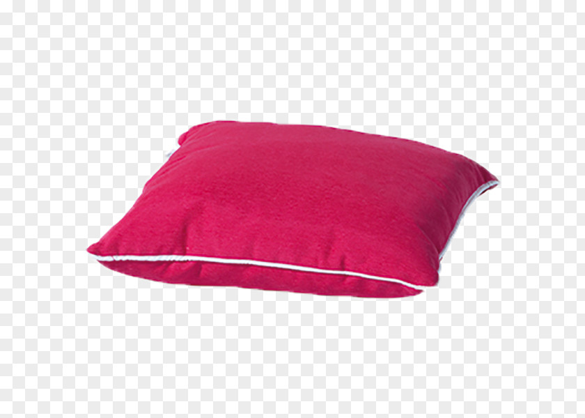 Pillow Cushion Throw Pillows Madison Piping PNG