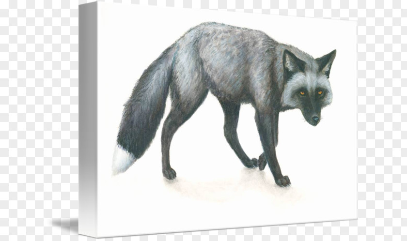 Silver Fox Domesticated Red Fur PNG