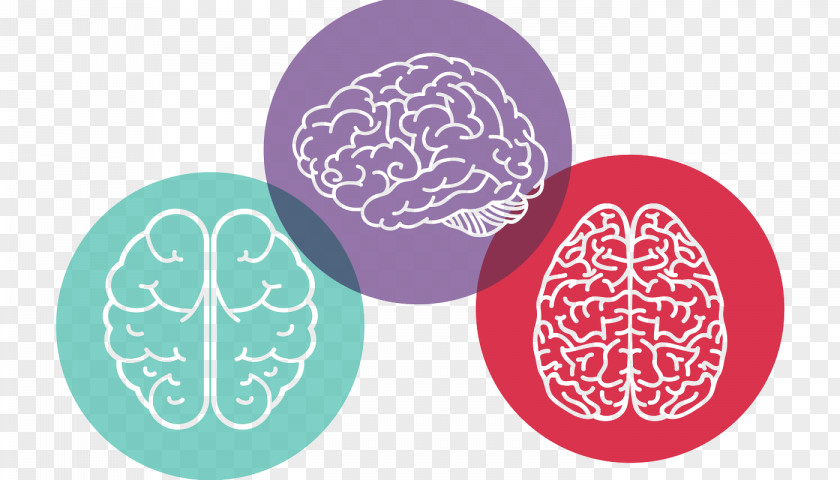 Disease Brain Huntington's Encephalopathy Neurodegeneration PNG