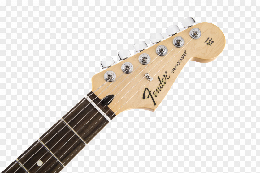 Electric Guitar Fender Stratocaster Musical Instruments Corporation Fingerboard PNG