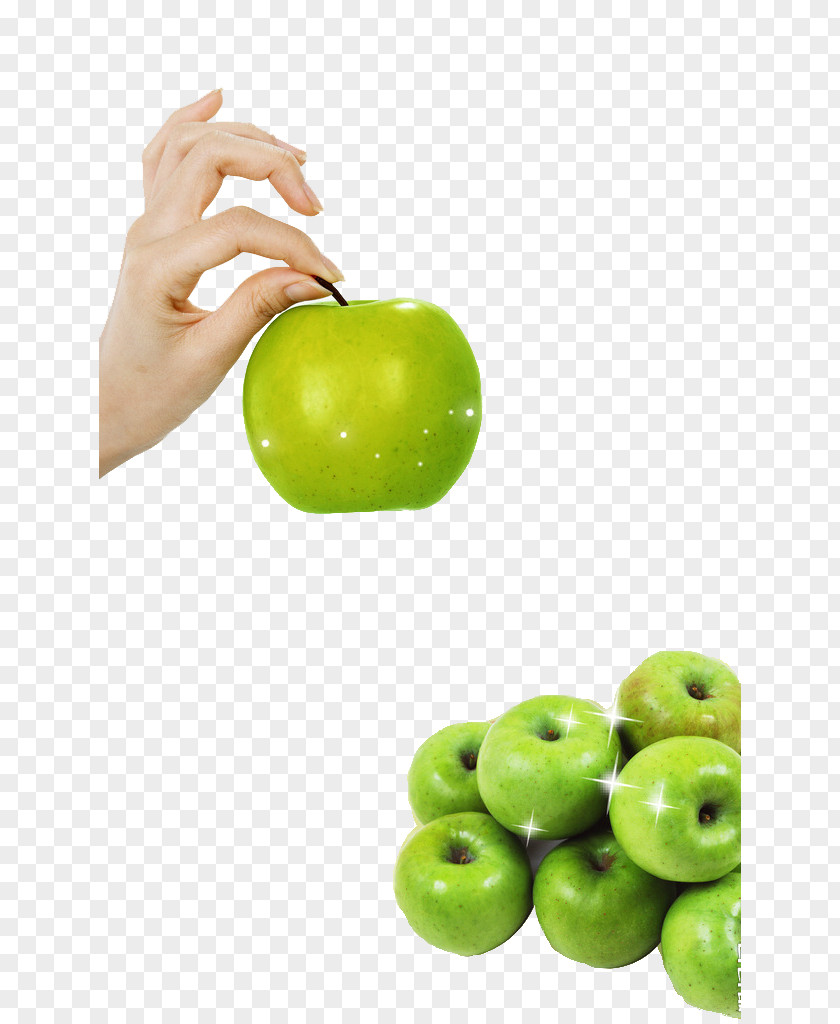 Fresh Apples Apple Cyan Auglis PNG
