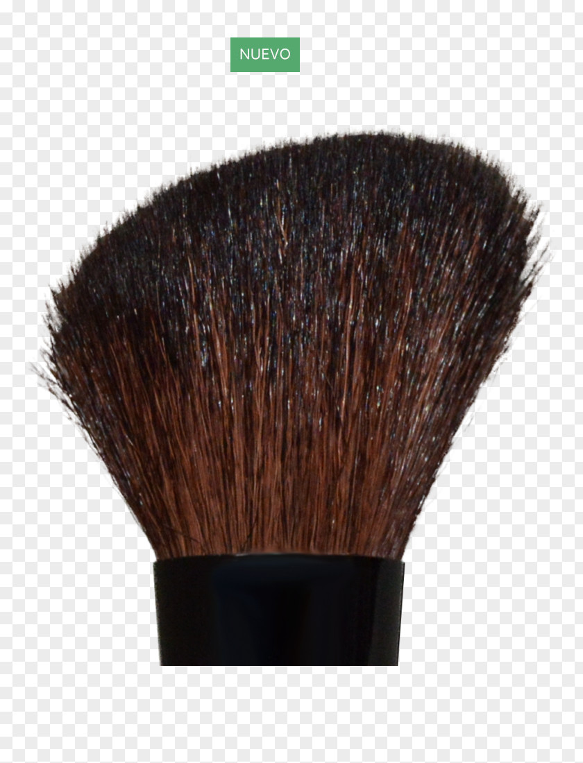Makeup Brush Shave Shaving Cosmetics PNG