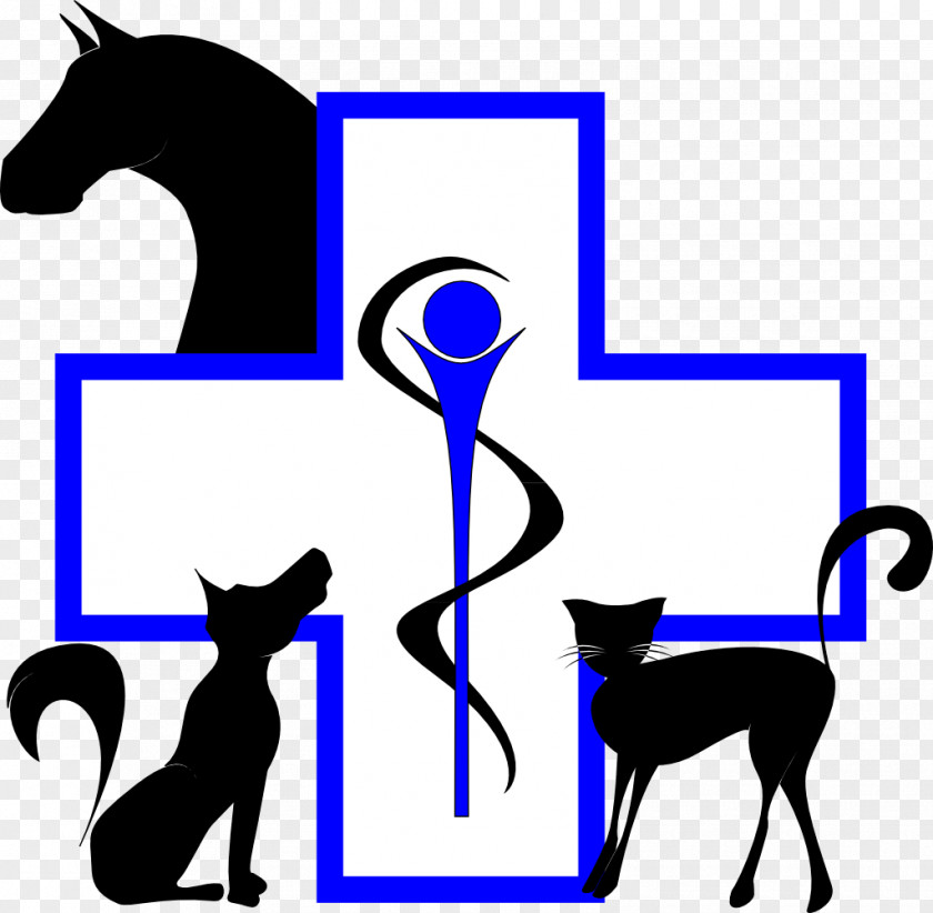 Medecine Cat Horse Waremme Equine Medicine Veterinarian PNG
