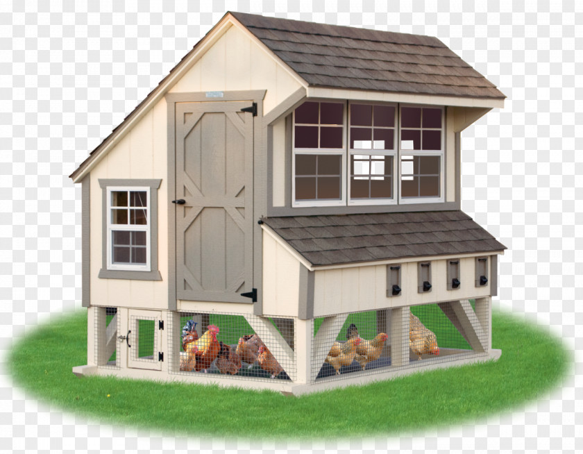 Stairs Chicken Coop Building Farm Poultry PNG