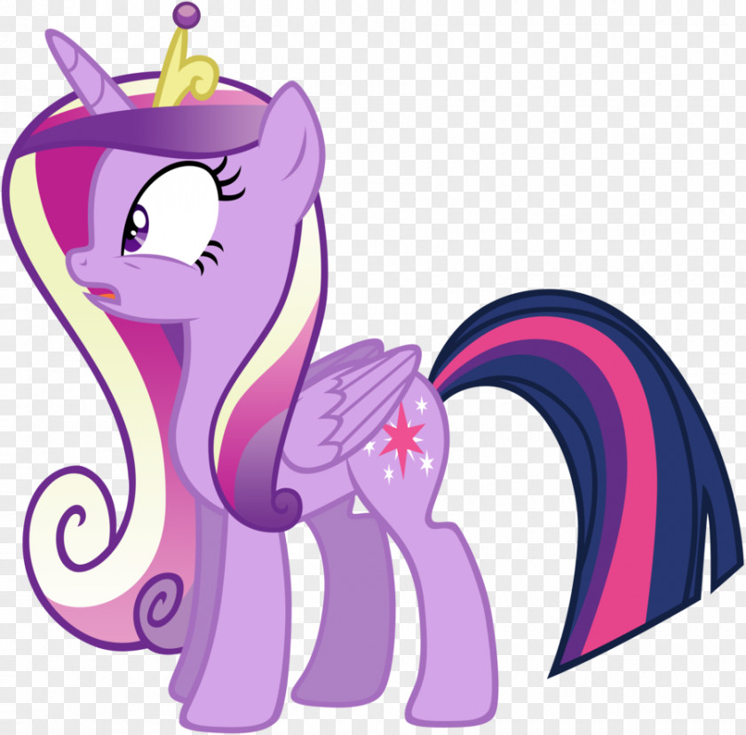 The Duchess Who Wasnt Day Twilight Sparkle Princess Cadance Rainbow Dash Pony Shining Armor PNG