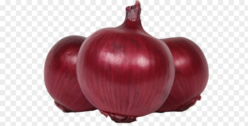 Vegetable Red Onion Food Potato Palak Paneer PNG