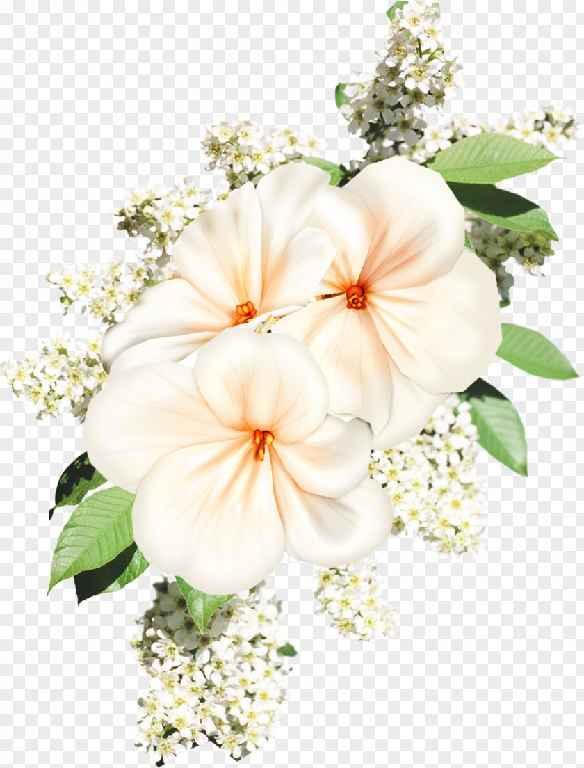 White Flower Cut Flowers Floral Design PNG