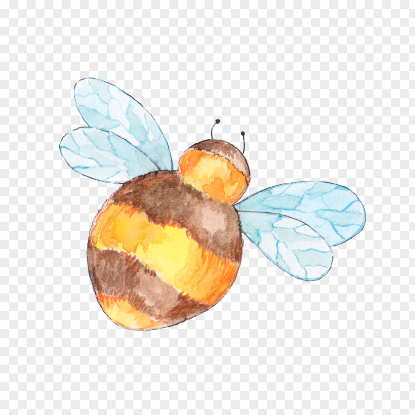 Bee Drawing Maya Apidae PNG