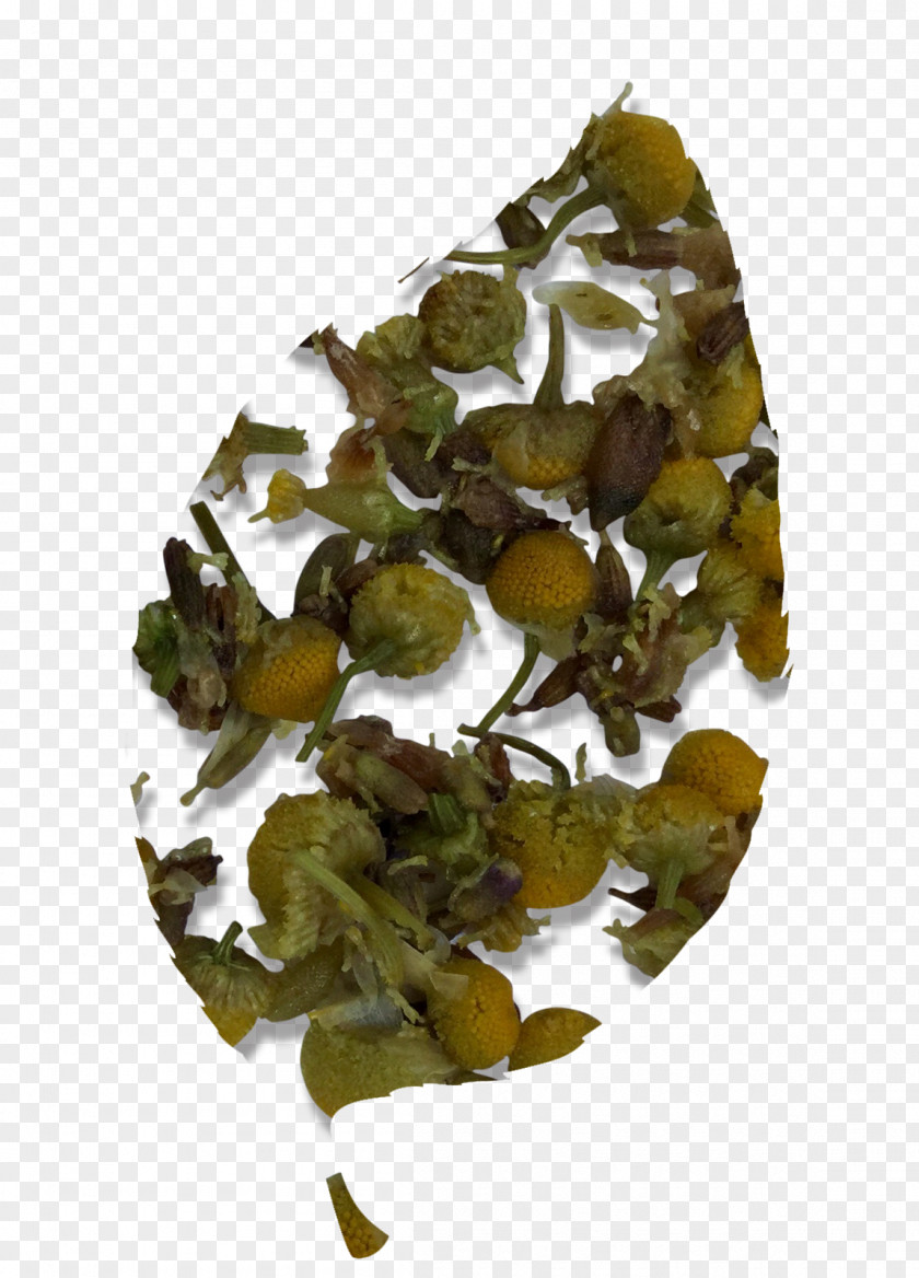 Chamomile Tieguanyin Oolong PNG
