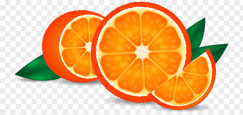 Cut Oranges Orange Juice Tangerine Drink PNG