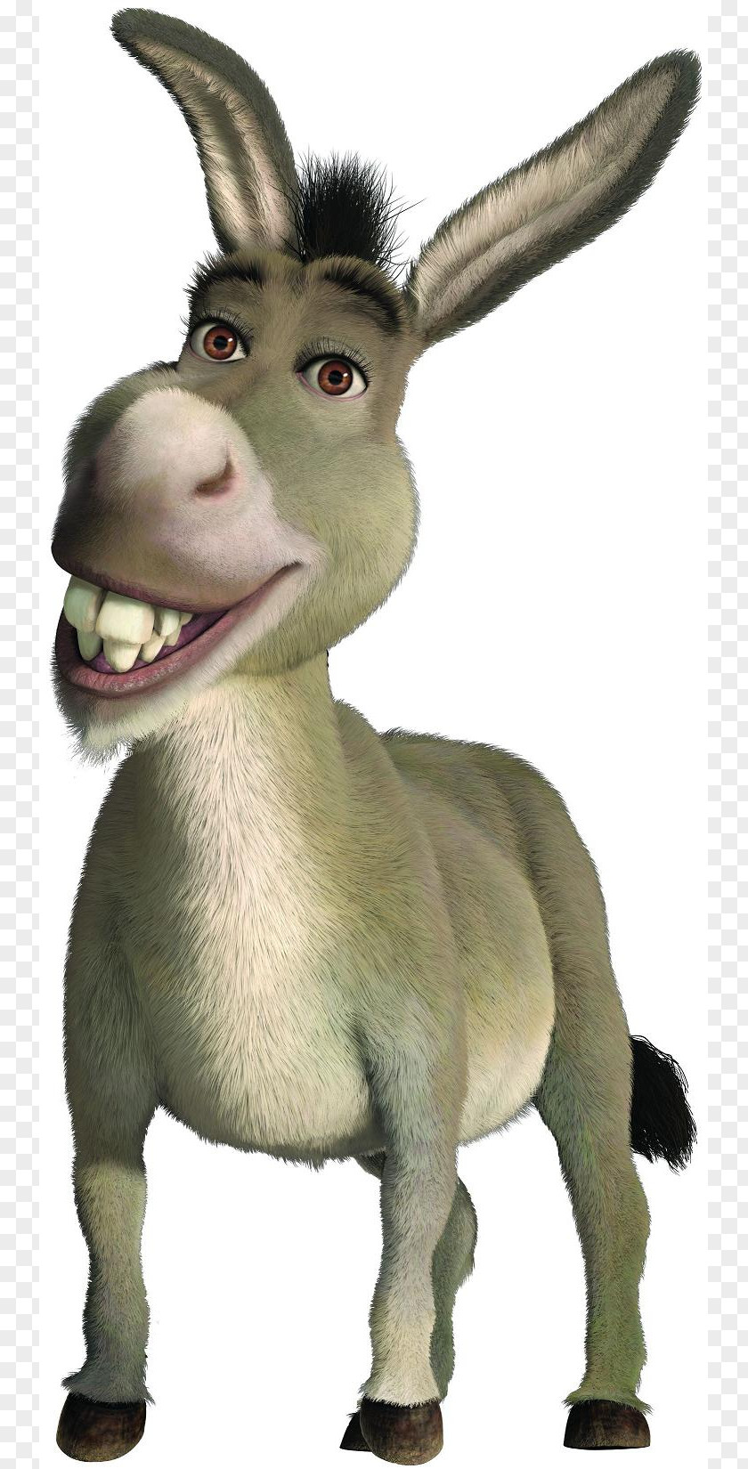 Donkey Shrek The Musical Princess Fiona Film Series PNG
