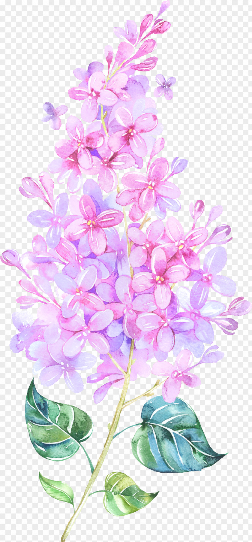 Floating Flower Paper Watercolor Painting Clip Art PNG