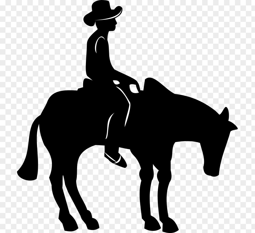 Horse And Rider Pictures Horse&Rider Equestrianism Clip Art PNG