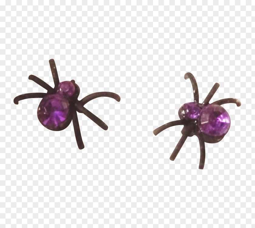 Insect Body Jewellery PNG