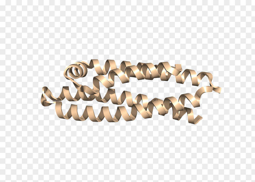 Jewellery Body Bracelet PNG