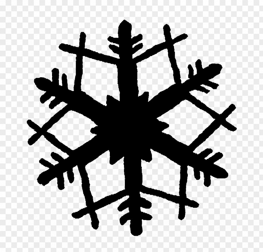 Snowflake Black And White Silhouette Clip Art PNG