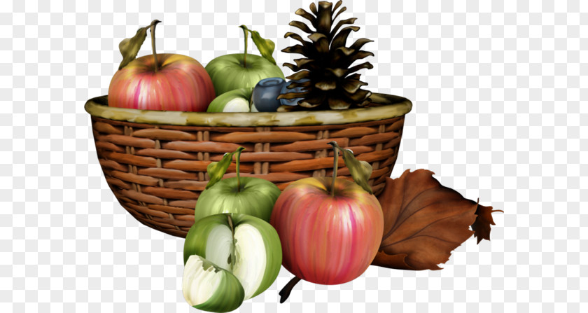 Basket Of Apples Creative Web Games Vegetable Fruit Auglis Berry PNG