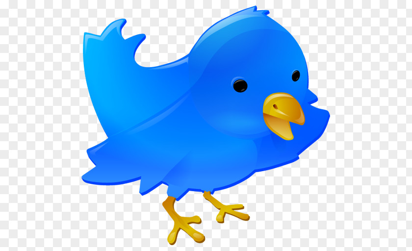 Blue Bird Professional Web Design Development Social Media Button PNG