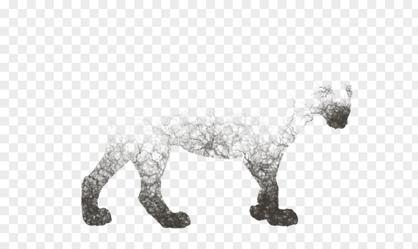 Cat Canidae Dog Mammal Animal Figurine PNG