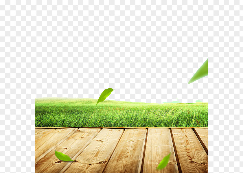 Floating Leaves PNG leaves clipart PNG