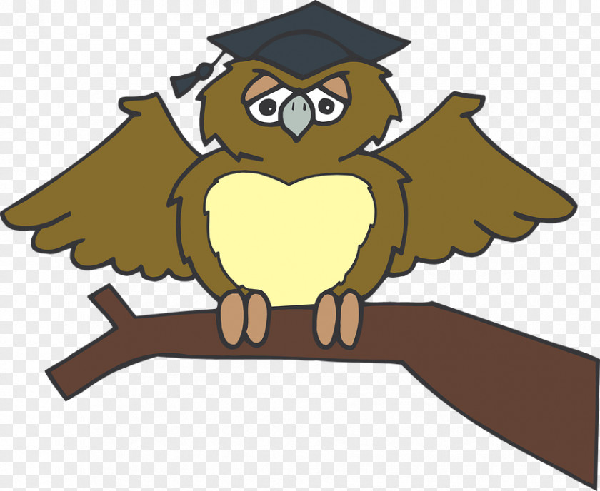 Owl Graduation Ceremony Clip Art PNG