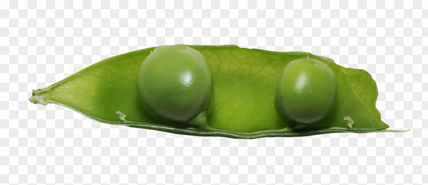 Peas Pictures Snow Pea Green Bean Vegetable PNG