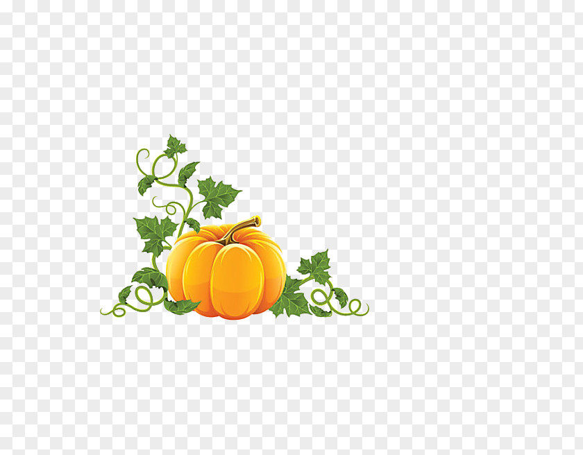 Pumpkin Royalty-free Halloween Clip Art PNG