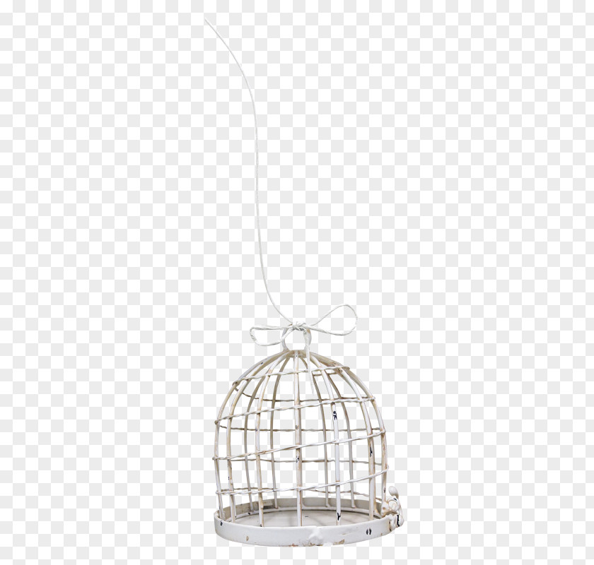 Bird Birdcage Of Prey PNG