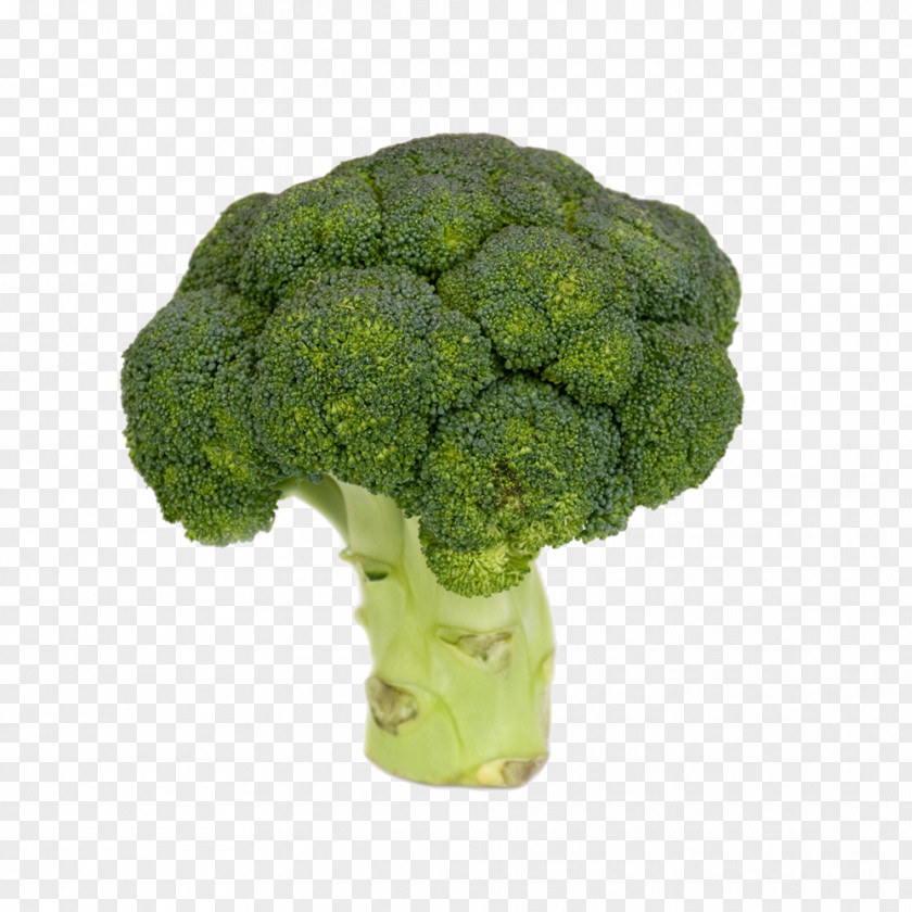 Broccoli Vegetable Food PNG